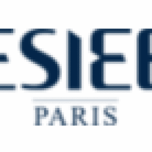 Logo ESIEE